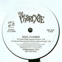The Pharcyde - Soul Flower