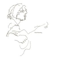 David Bromberg - David Bromberg