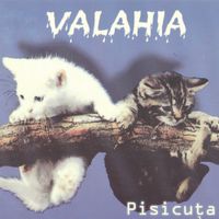 Valahia - Pisicuța