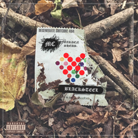 MC GARDEN SHEDS - Degenerate Shitcore 404