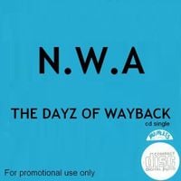 N.W.A. - The Dayz of Wayback