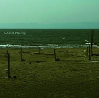 林栄一 [Eiichi Hayashi] - GATOS Meeting