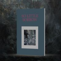 Simon J Karis - So Little Sorrow