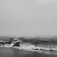 favvs - Weightless