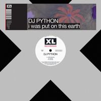 DJ Python - Besos Robados