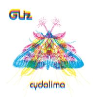 Gliz - Cydalima