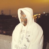 MF DOOM - The Prof Meets The SUPER VILLAIN