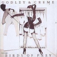 Godley & Creme - Birds of Prey