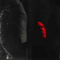 масло черного тмина [maslo chernogo tmina] - vigorish
