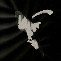 масло черного тмина [maslo chernogo tmina] - ю.г.