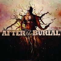 After the Burial - Rareform