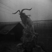 äbvsd - H&auml;xan: Ego Death