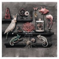 Bipolar Bows - Little Bundles of Joy