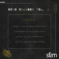 sfam - echo chamber vol. 1
