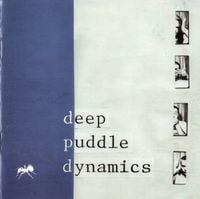 Deep Puddle Dynamics - The Taste of Rain...Why Kneel?