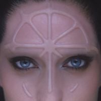 GAIA - rosa dei venti