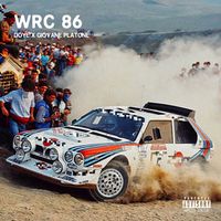 Doye - WRC 86