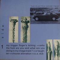 The Electric Noise Twist - The Electric Noise Twist