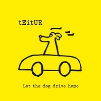 Teitur - Let the Dog Drive Home