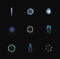 Ariel Kalma - ◯