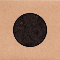 Swans - I Am a Tower