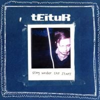 Teitur - Stay Under the Stars