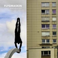 Flygmaskin - Ianchelevici