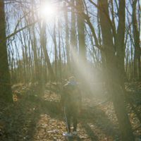 Lani Rose - Autumn
