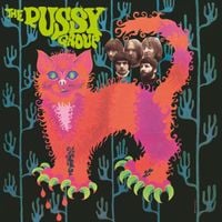 Pussy - Pussy Plays