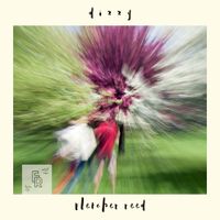 Fletcher Reed - Dizzy