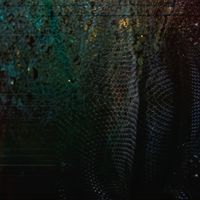 Peace Sine - Coil