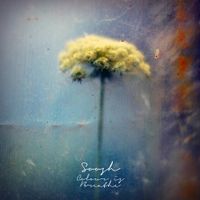 Soosh - Colour Is Breathe