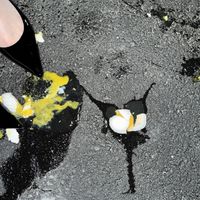 Joeyy - Yolk