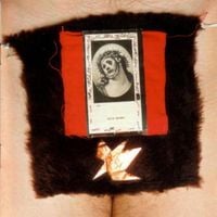 The Hidden Cameras - Ecce Homo
