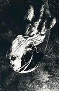 Zretimora - Złodzenie