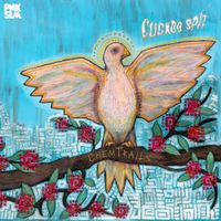 Chemtrails - Cuckoo Spit
