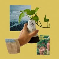 Liance - This Painting Doesn&rsquo;t Dry