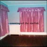 Kitty - counting all the starfish