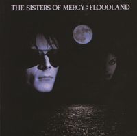 The Sisters of Mercy - Floodland