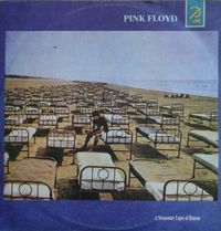Pink Floyd - A Momentary Lapse Of Reason