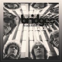 Bridges - V&aring;kenatt