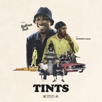 Anderson .Paak - Tints