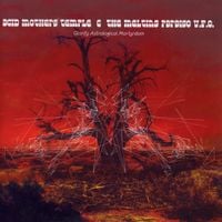 Acid Mothers Temple & the Melting Paraiso U.F.O. - Glorify Astrological Martyrdom