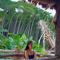 Skeletrix Island Radio 66.7 - Chill Beats For When You're Losing Your Mind (66.7 Radio)
