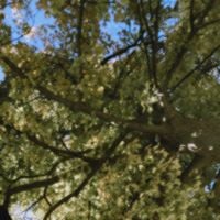 leverfall - hello 1.5