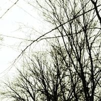 leverfall - Lethargic