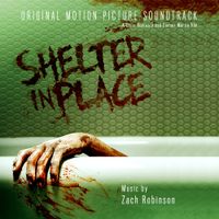 Zach Robinson - Shelter in Place