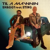 Shaggy - Til A Mawnin