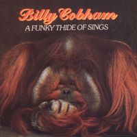 Billy Cobham - A Funky Thide of Sings