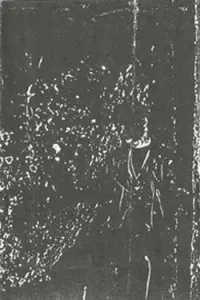 Pervogoat - Face of Death